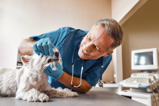 Best Emergency Wisdom Teeth Removal in Mcfarland, WI
